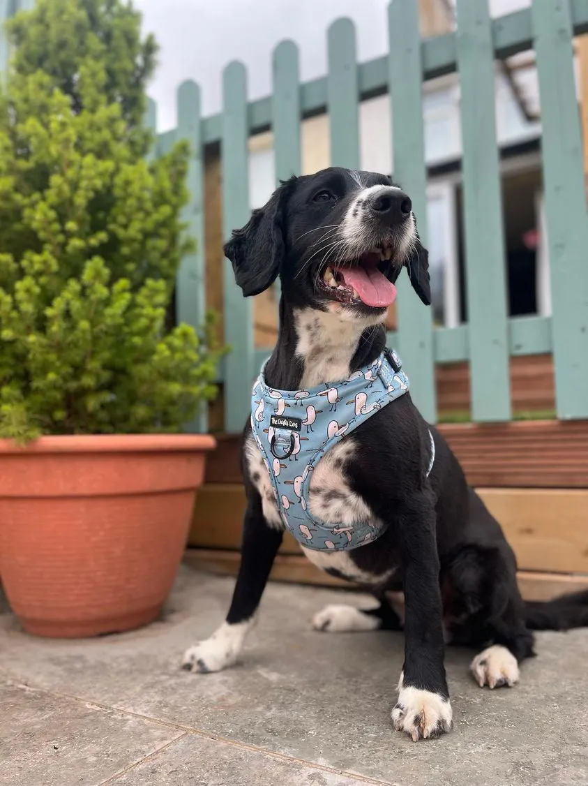 Mine Mine Mine Harness