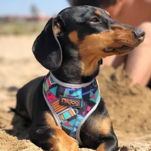 Multi-Color Dachshund Dog Harness