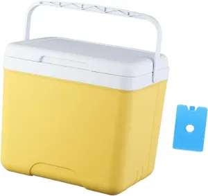 MYCENSE Insulated Ice Cooler Organizer Bucket Versatile Fridge Hard Ice Chest Box Camping Case for Picnic Beach BBQ Tailgating Travel