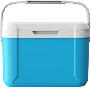 New Camping Cooler with Handle Portable Refrigerator, 5.3Qt Small Picnic Cooler, Box Keep Cool for 72-96 Hours Small Ice Chest Hard Food Storage for Beach, Camping, Sports