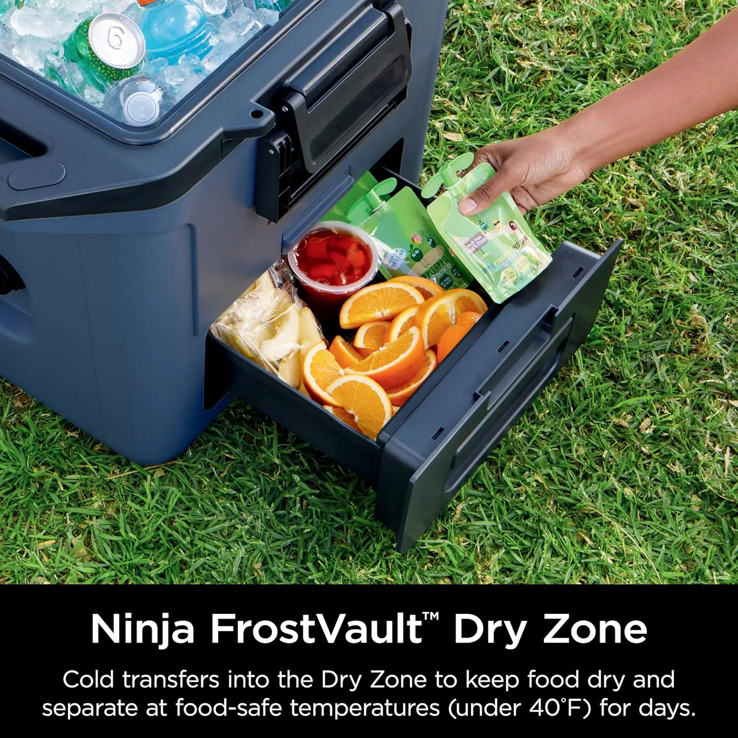 Ninja FB131BL FrostVault 30qt Hard Cooler with Dry Zone, Integrated Fridge-Temp Dry Storage Drawer, Premium Heavy-Duty Insulated Cooler, Keeps Ice for Days, Lakeshore Blue