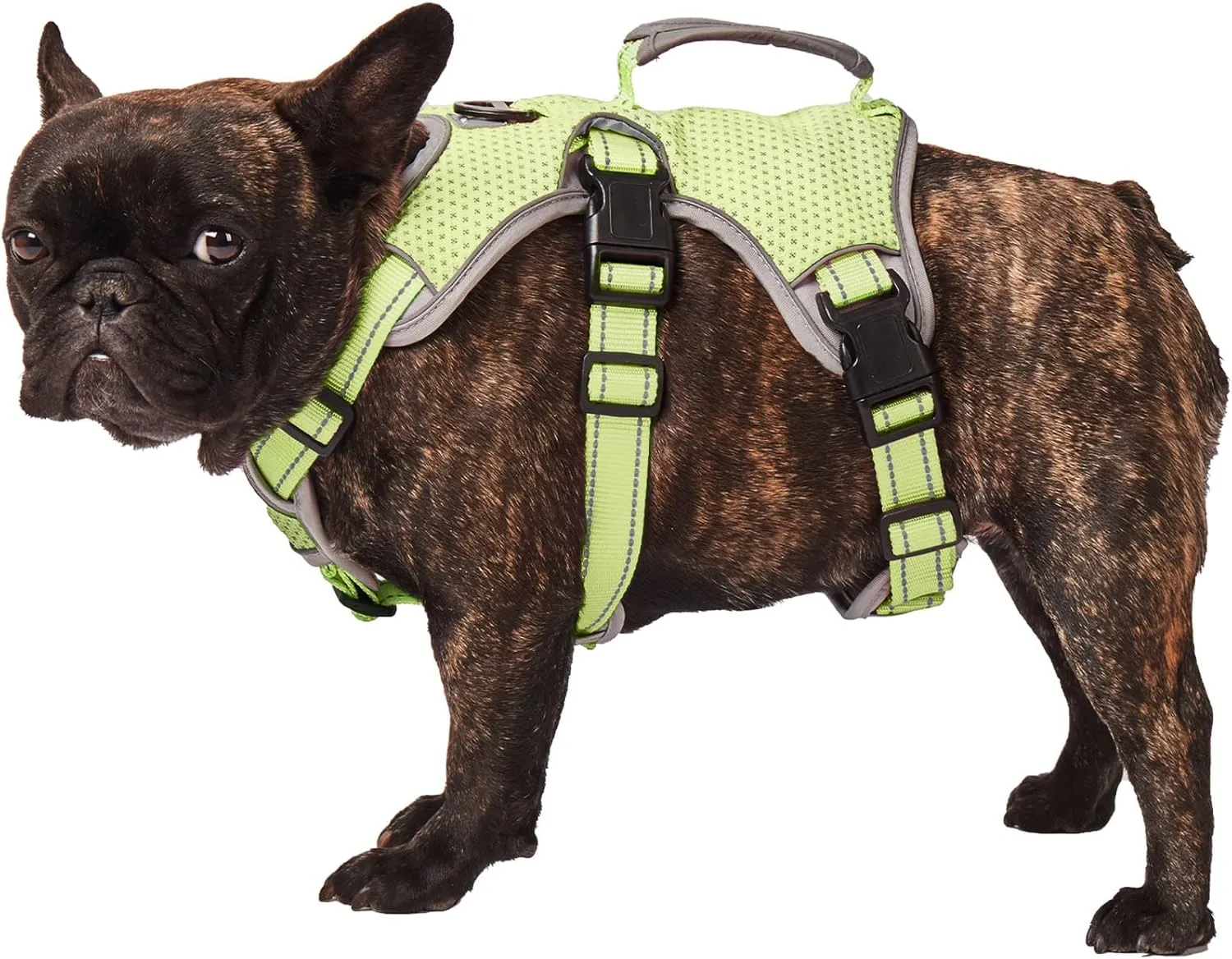 No Escape Dog Harness, Escape Proof Harness, Fully Reflective Harness with Padded Handle, Breathable,Durable, Adjustable Vest for Medium Dogs Walking, Training, and Running Gear (Green, S)