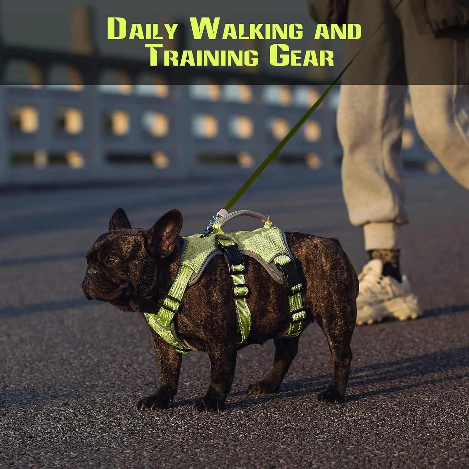 No Escape Dog Harness, Escape Proof Harness, Fully Reflective Harness with Padded Handle, Breathable,Durable, Adjustable Vest for Medium Dogs Walking, Training, and Running Gear (Green, S)