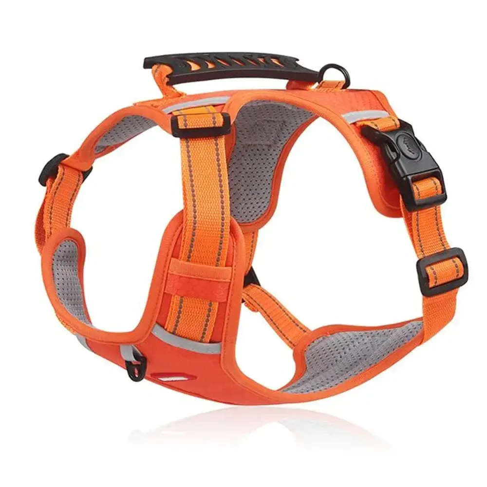 No Pull Dog Harness – Comfortable Control for Your Dog