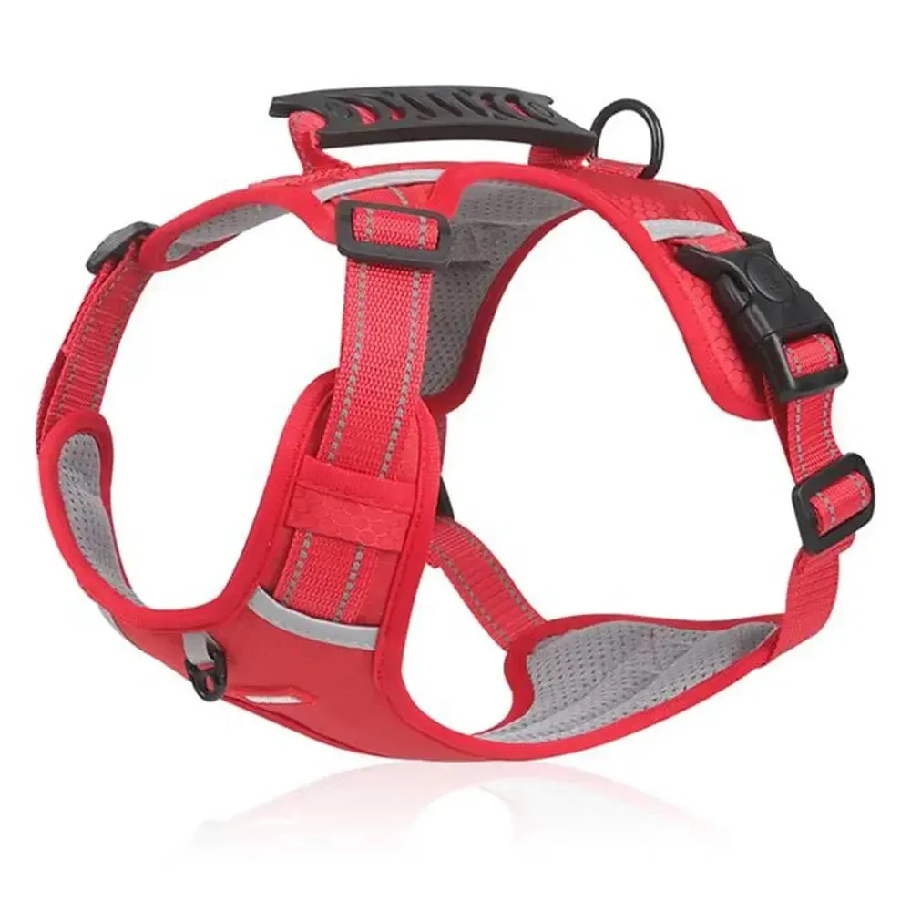 No Pull Dog Harness – Comfortable Control for Your Dog