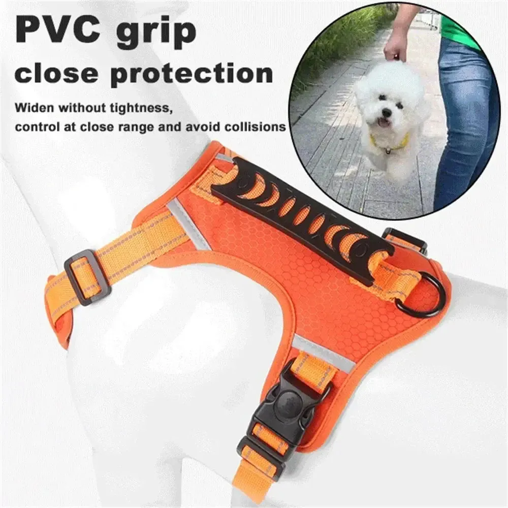 No Pull Dog Harness – Comfortable Control for Your Dog