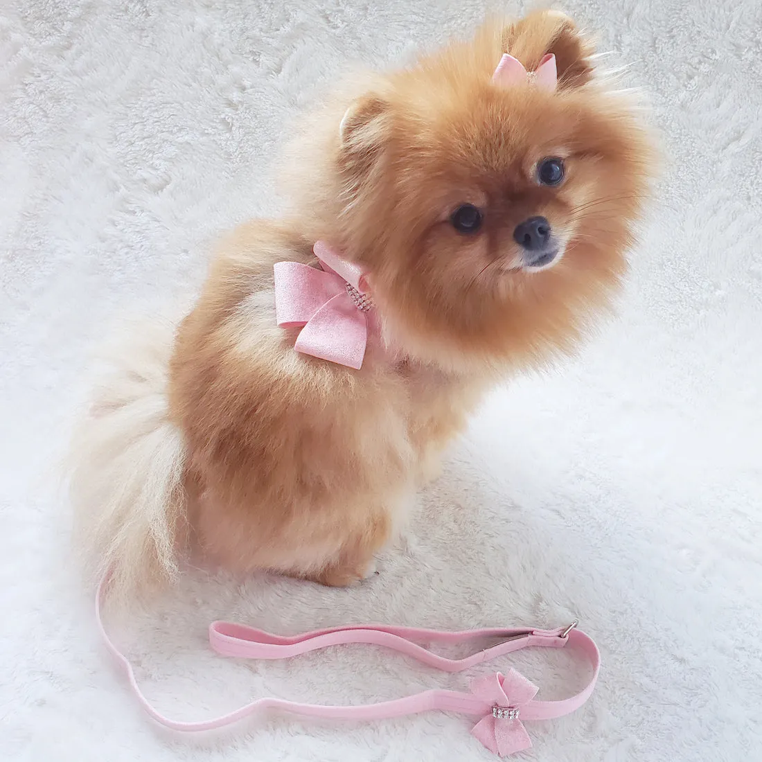 Nouveau Bow Step-in Dog Harness