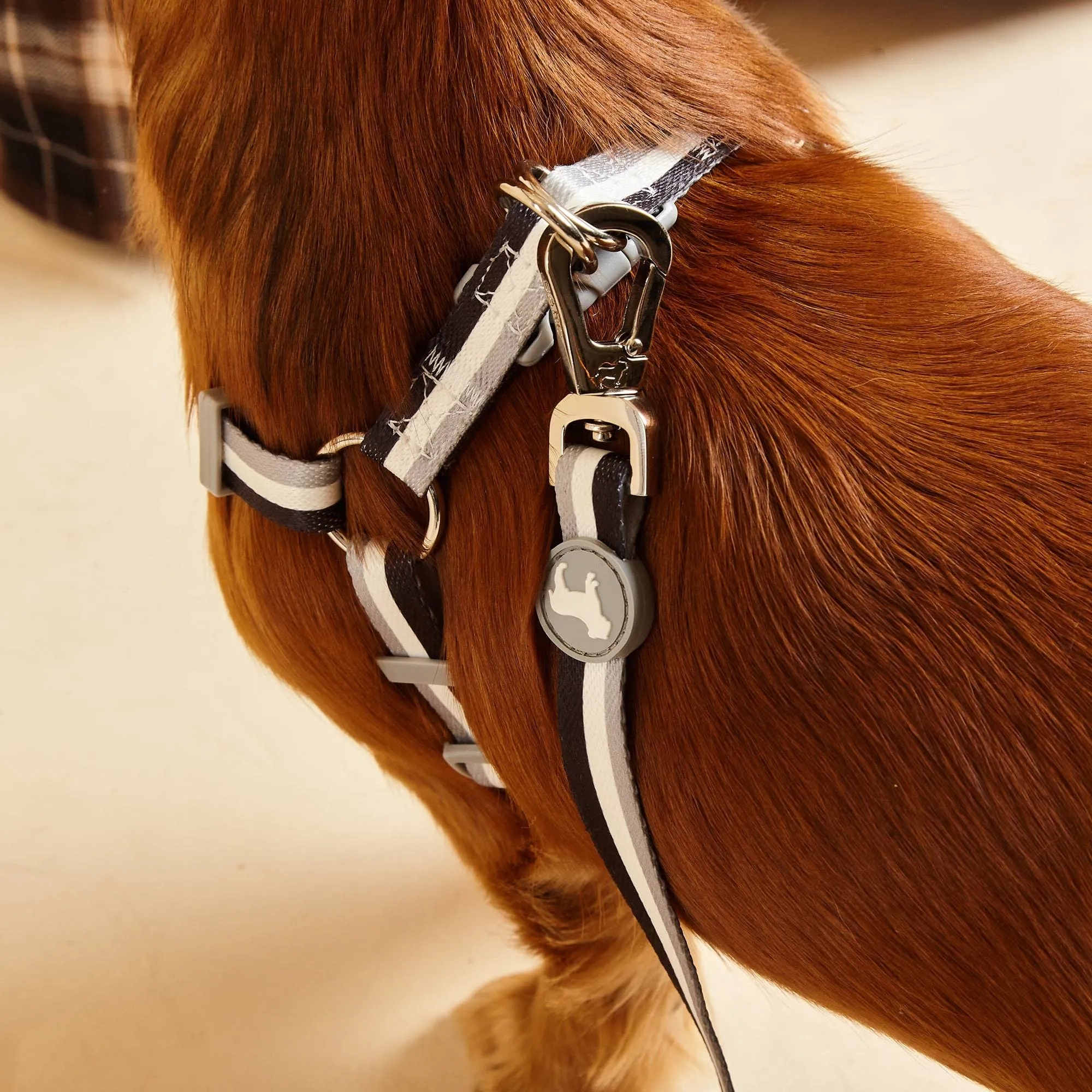 Nylon Fabric Dog Harness | Liquorice Stripe