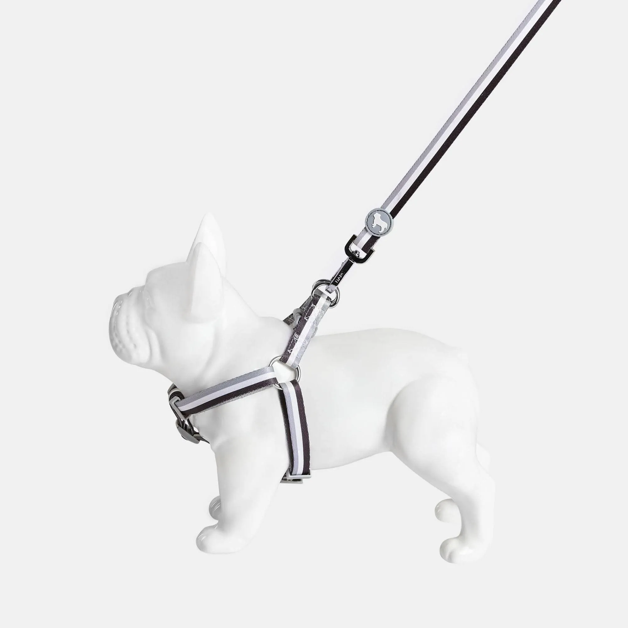Nylon Fabric Dog Harness | Liquorice Stripe