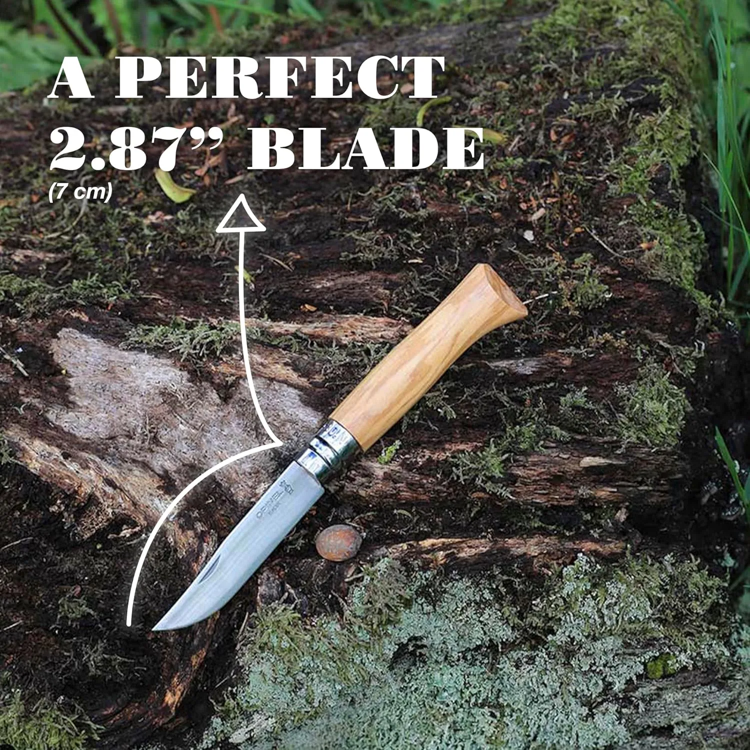 OPINEL No.06-No.09 Premium Woods, Stainless Steel Folding Pocket Knife, Made in France (No.06/Olive)