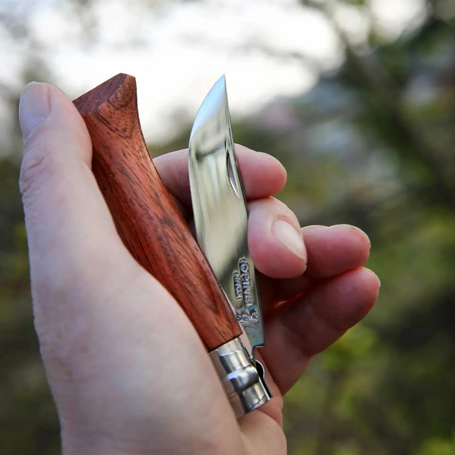 OPINEL No.06-No.09 Premium Woods, Stainless Steel Folding Pocket Knife, Made in France (No.06/Padouk)
