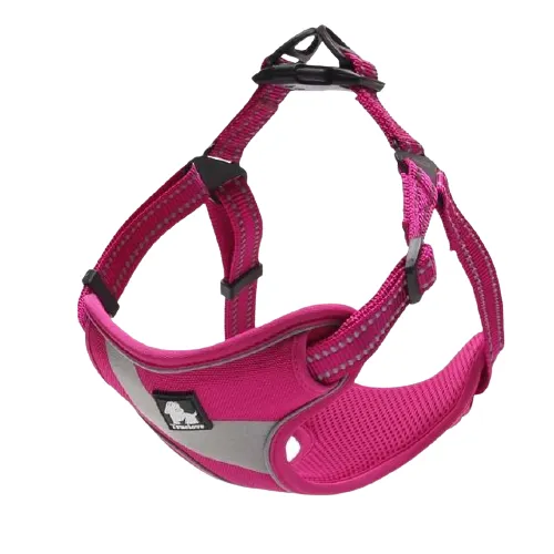Outdoor Adventure Reflective Dog Walking Harness