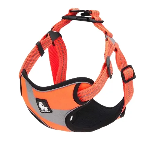 Outdoor Adventure Reflective Dog Walking Harness