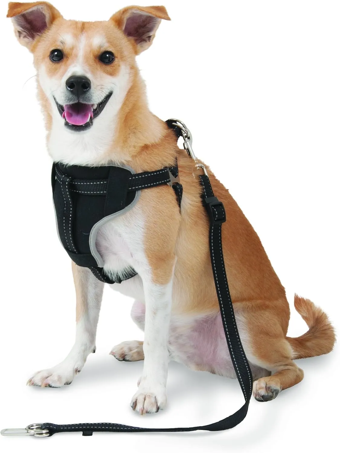 Petmate 11476 The Ultimate Travel Harness for Pets, Small, Black