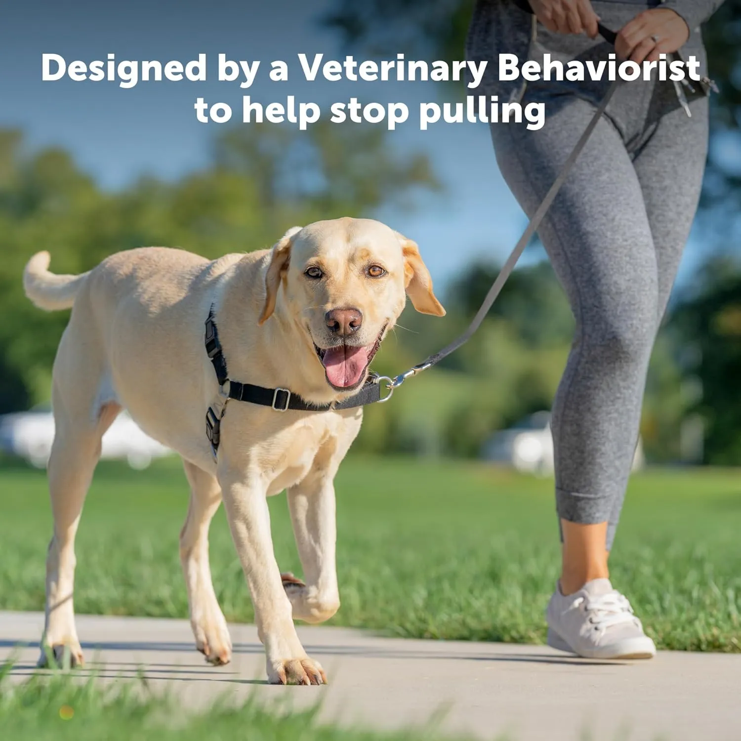 PetSafe Easy Walk No-Pull Dog Harness - The Ultimate Harness to Help Stop Pulling - Take Control & Teach Better Leash Manners - Helps Prevent Pets Pulling on Walks, Medium/Large, Black/Silver