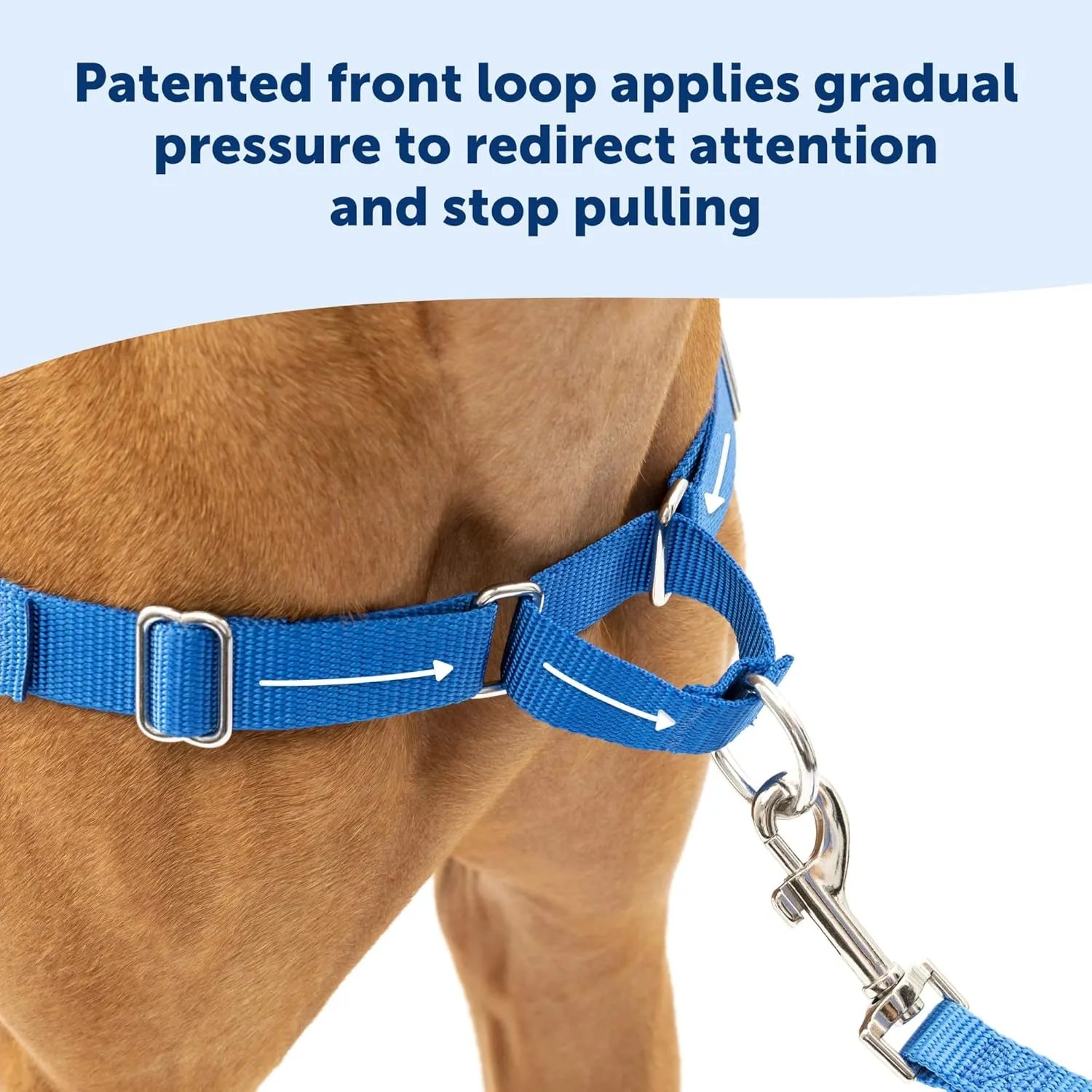 PetSafe Easy Walk No-Pull Dog Harness - The Ultimate Harness to Help Stop Pulling - Take Control & Teach Better Leash Manners - Helps Prevent Pets Pulling on Walks, Medium/Large, Black/Silver