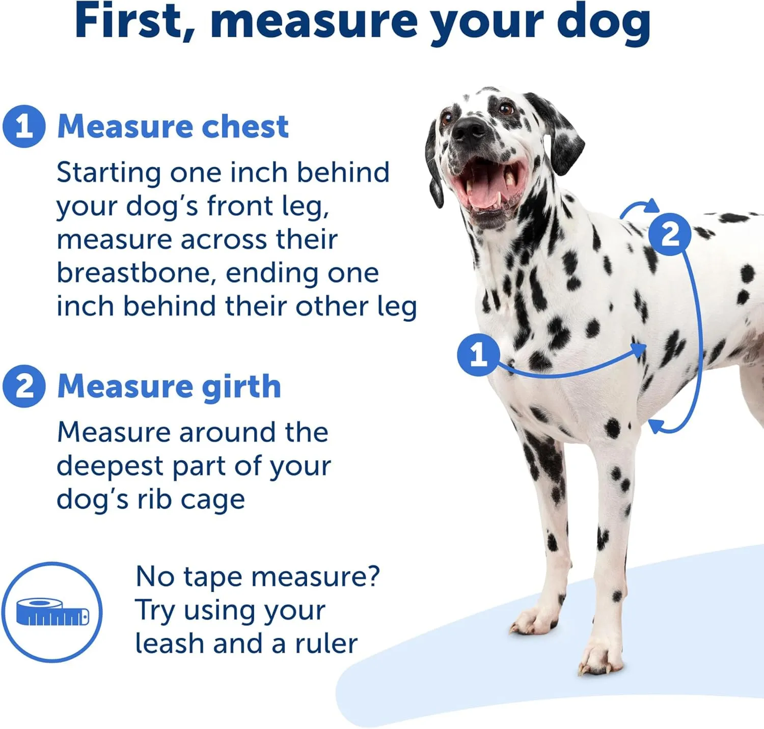 PetSafe Easy Walk No-Pull Dog Harness - The Ultimate Harness to Help Stop Pulling - Take Control & Teach Better Leash Manners - Helps Prevent Pets Pulling on Walks, Medium/Large, Black/Silver