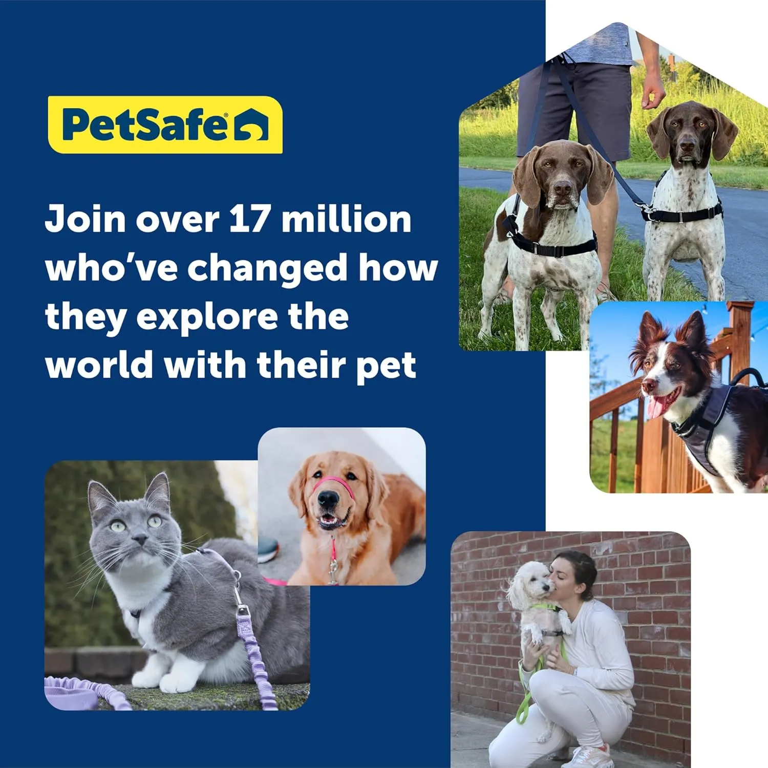 PetSafe Easy Walk No-Pull Dog Harness - The Ultimate Harness to Help Stop Pulling - Take Control & Teach Better Leash Manners - Helps Prevent Pets Pulling on Walks, Medium/Large, Black/Silver