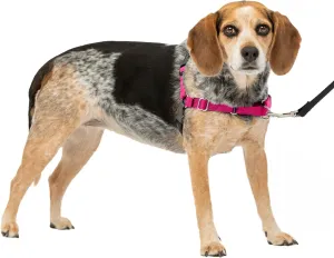 PetSafe Easy Walk No-Pull Dog Harness - The Ultimate Harness to Help Stop Pulling - Take Control & Teach Better Leash Manners - Helps Prevent Pets Pulling on Walks, Small/Medium, Raspberry/Gray