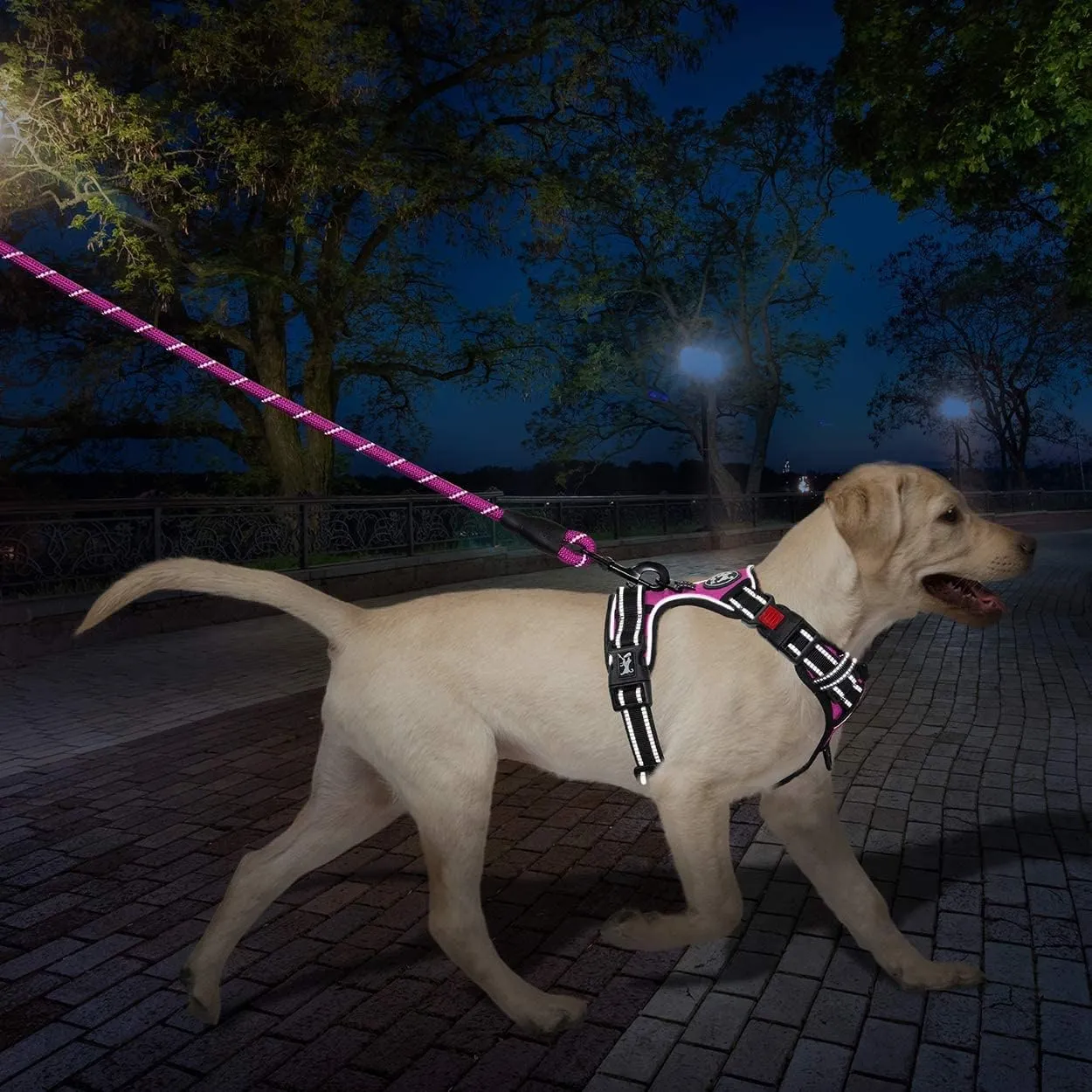 PoyPet Dog Harness and Leash Combo, Escape Proof No Pull Vest Harness, with 5 Feet Leash, Reflective Adjustable Soft Padded Pet Harness with Handle for Small to Large Dogs(Pink,L)