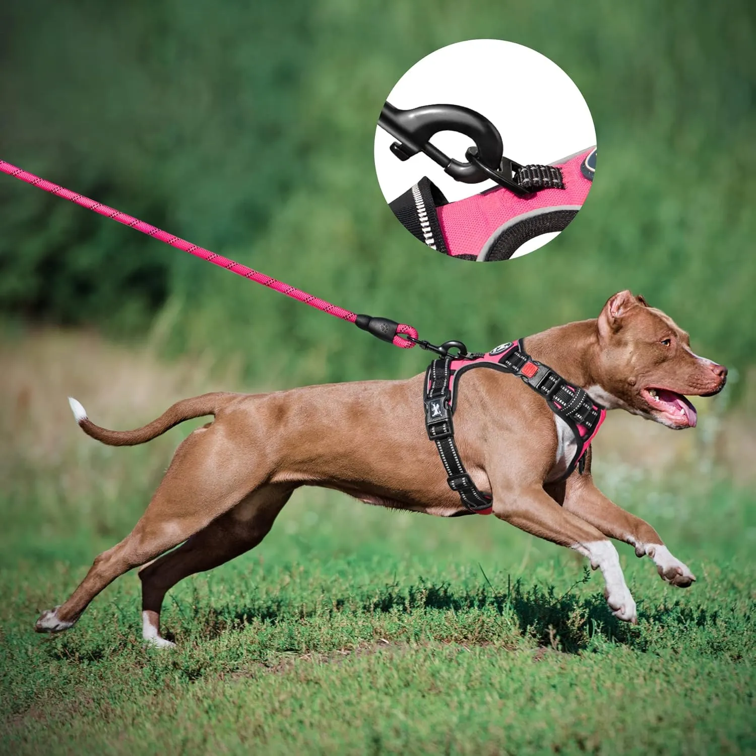 PoyPet Dog Harness and Leash Combo, Escape Proof No Pull Vest Harness, with 5 Feet Leash, Reflective Adjustable Soft Padded Pet Harness with Handle for Small to Large Dogs(Pink,L)