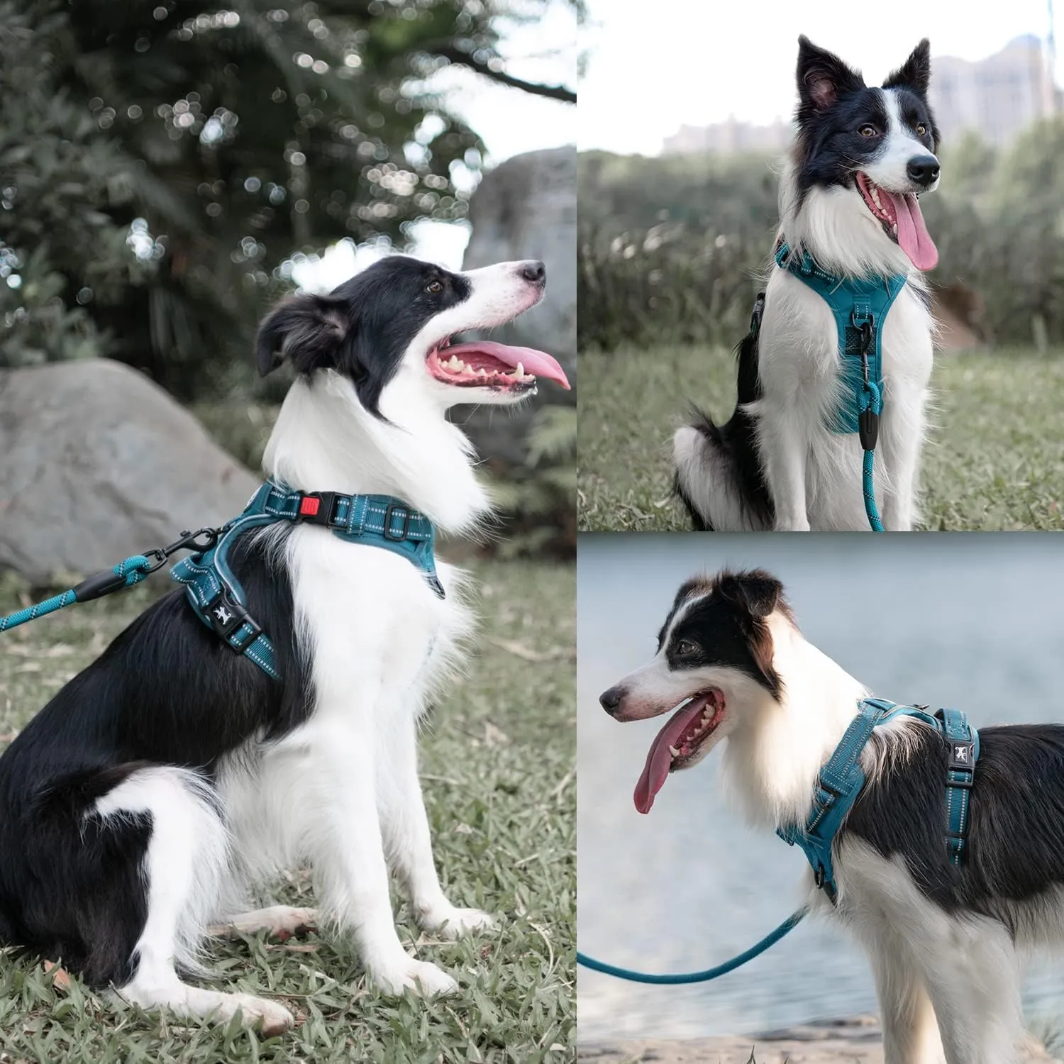 PoyPet No Pull Dog Harness and 5 Feet Leash Set, Release on Neck Reflective Adjustable Pet Vest, Front & Back 2 D-Ring and Soft Padded Pet Harness with Handle for Small to Large Dogs(Tumalo Teal,L)