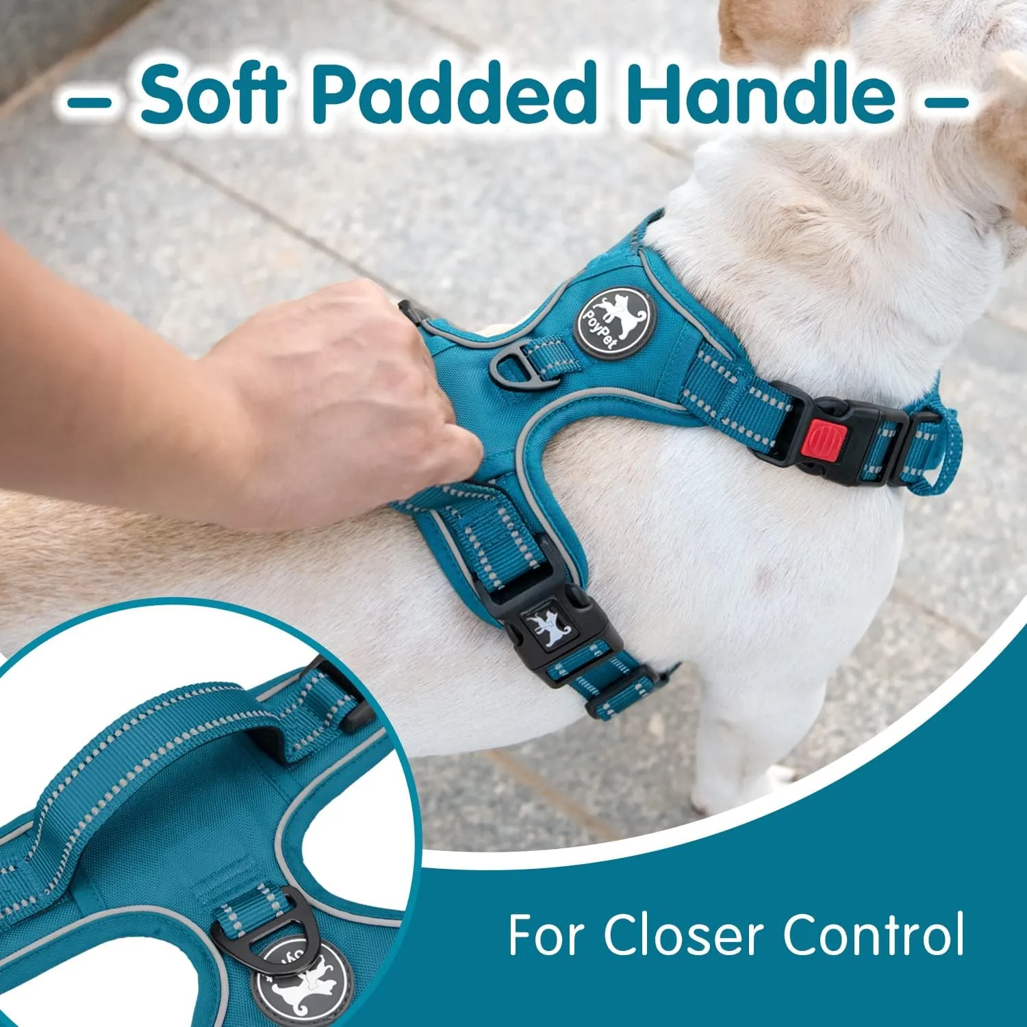 PoyPet No Pull Dog Harness and 5 Feet Leash Set, Release on Neck Reflective Adjustable Pet Vest, Front & Back 2 D-Ring and Soft Padded Pet Harness with Handle for Small to Large Dogs(Tumalo Teal,L)