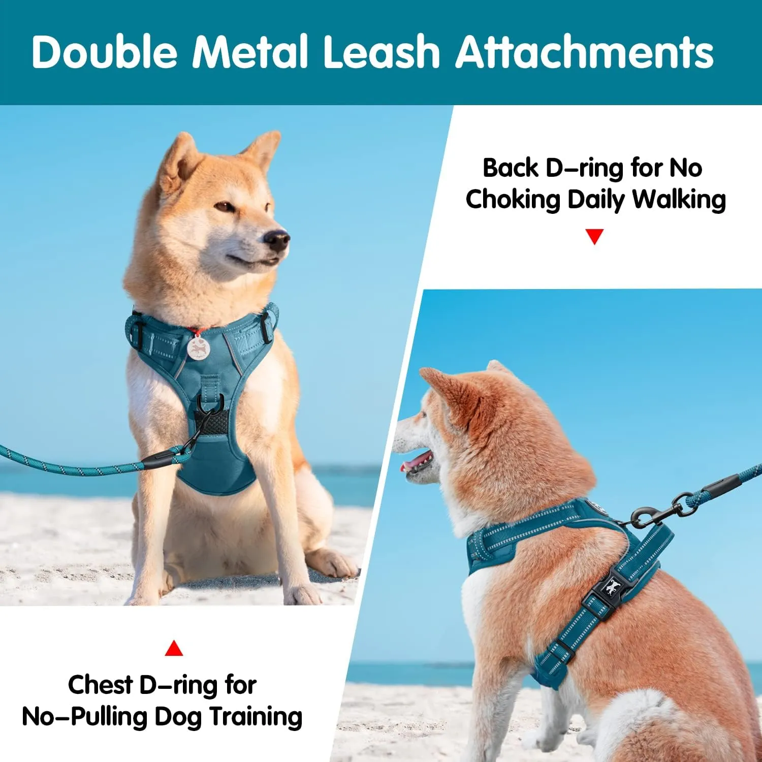 PoyPet No Pull Dog Harness and 5 Feet Leash Set, Release on Neck Reflective Adjustable Pet Vest, Front & Back 2 D-Ring and Soft Padded Pet Harness with Handle for Small to Large Dogs(Tumalo Teal,L)