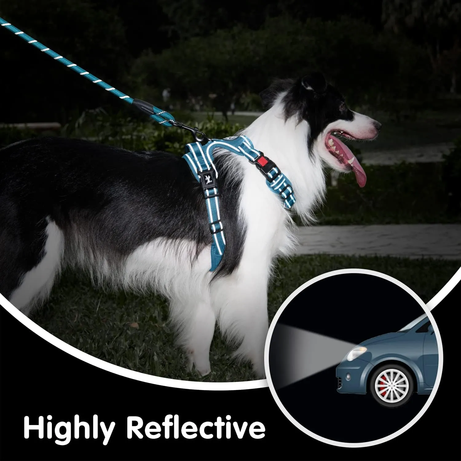 PoyPet No Pull Dog Harness and 5 Feet Leash Set, Release on Neck Reflective Adjustable Pet Vest, Front & Back 2 D-Ring and Soft Padded Pet Harness with Handle for Small to Large Dogs(Tumalo Teal,L)