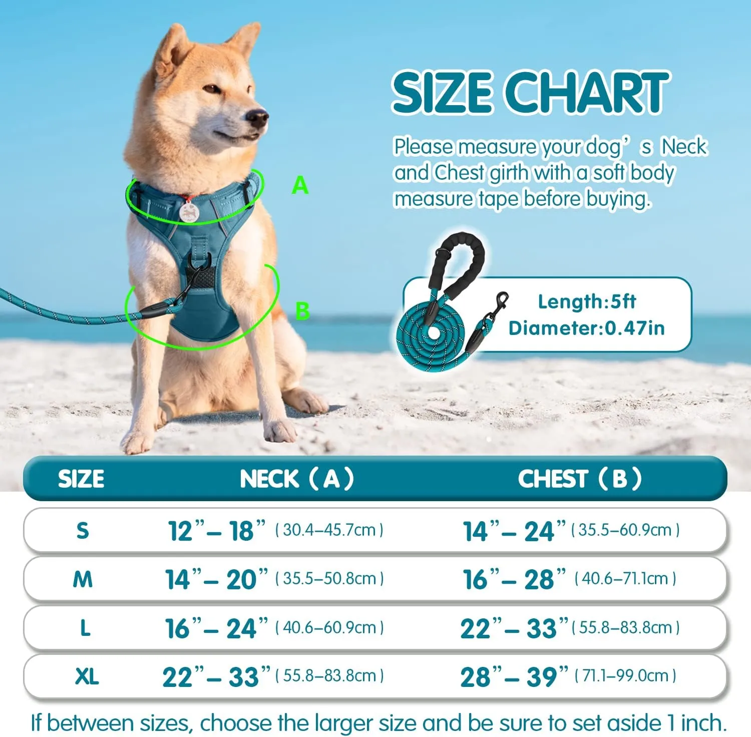 PoyPet No Pull Dog Harness and 5 Feet Leash Set, Release on Neck Reflective Adjustable Pet Vest, Front & Back 2 D-Ring and Soft Padded Pet Harness with Handle for Small to Large Dogs(Tumalo Teal,L)
