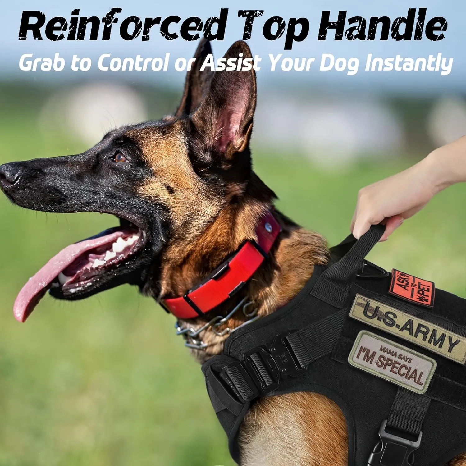 rabbitgoo Tactical Dog Harness for Small, Heavy Duty Pet Harness with Handle, No-Pull Service Vest Small Breed, Adjustable Military Dog Vest for Training Hunting Walking, Black, S