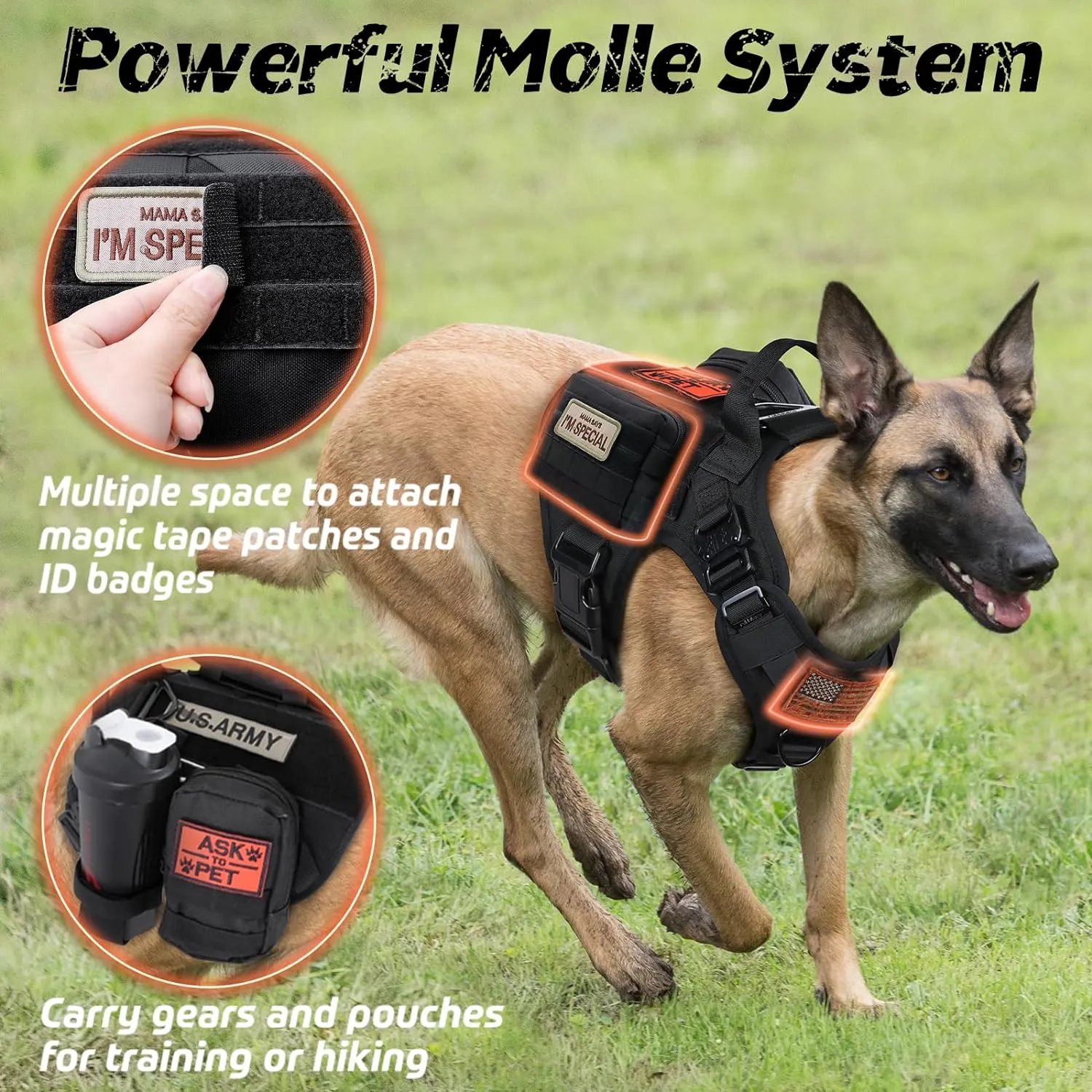 rabbitgoo Tactical Dog Harness for Small, Heavy Duty Pet Harness with Handle, No-Pull Service Vest Small Breed, Adjustable Military Dog Vest for Training Hunting Walking, Black, S