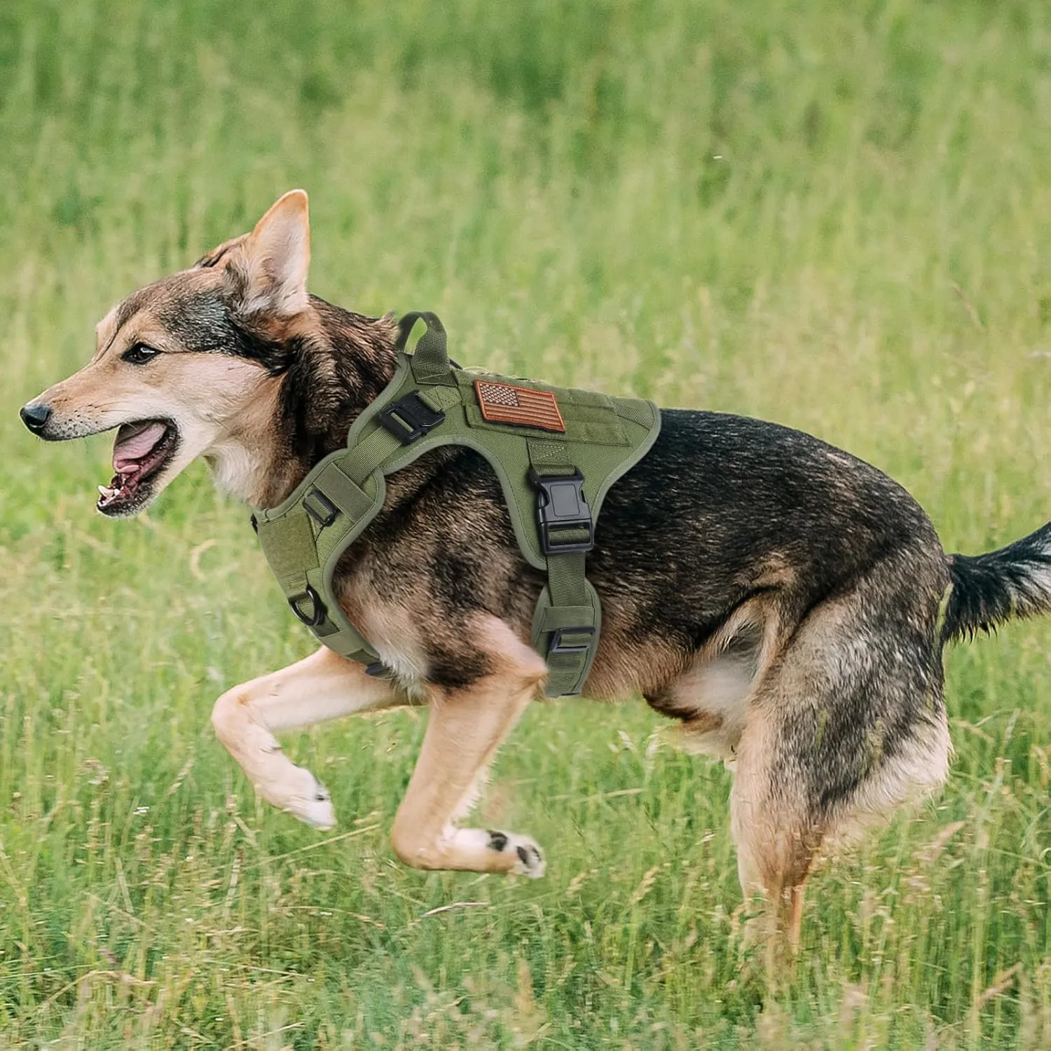 rabbitgoo Tactical Dog Harness Medium Sized, Heavy Duty Pet Harness with Handle, No-Pull Service Vest Medium Breed, Adjustable Military Dog Vest for Training Hunting Walking, Green, M