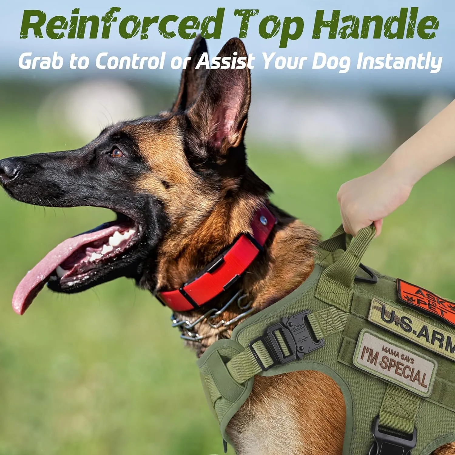 rabbitgoo Tactical Dog Harness Medium Sized, Heavy Duty Pet Harness with Handle, No-Pull Service Vest Medium Breed, Adjustable Military Dog Vest for Training Hunting Walking, Green, M