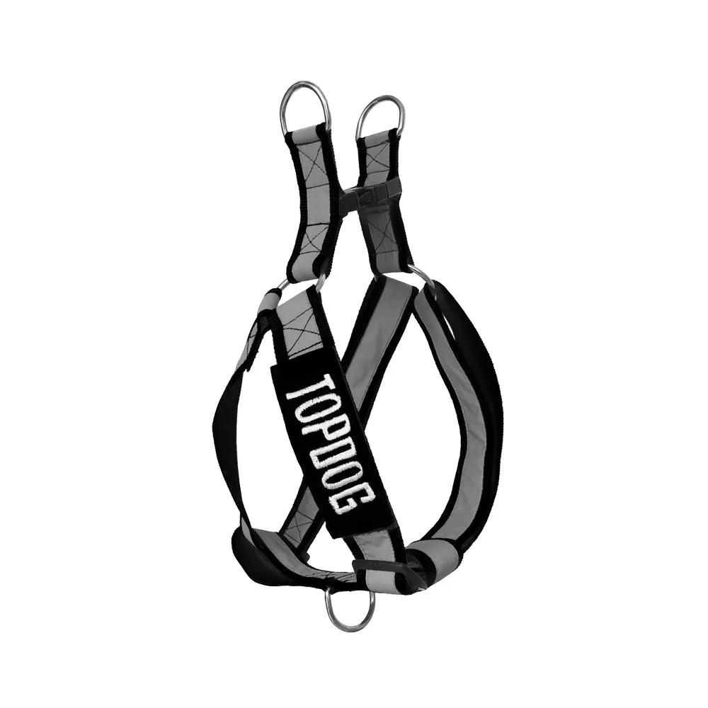 Reflectors - An Easy Walk & Step In Harness with Name Patch | Black