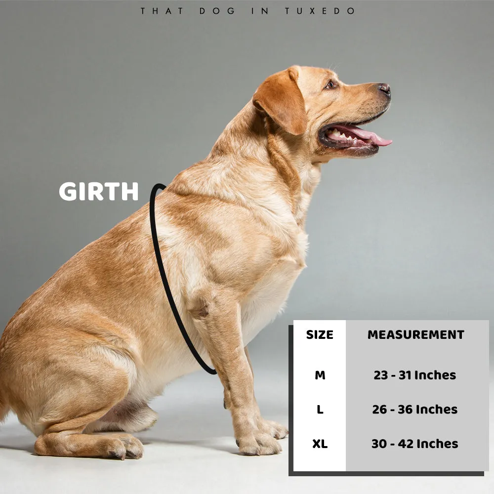 Reflectors - An Easy Walk & Step In Harness with Name Patch | Black