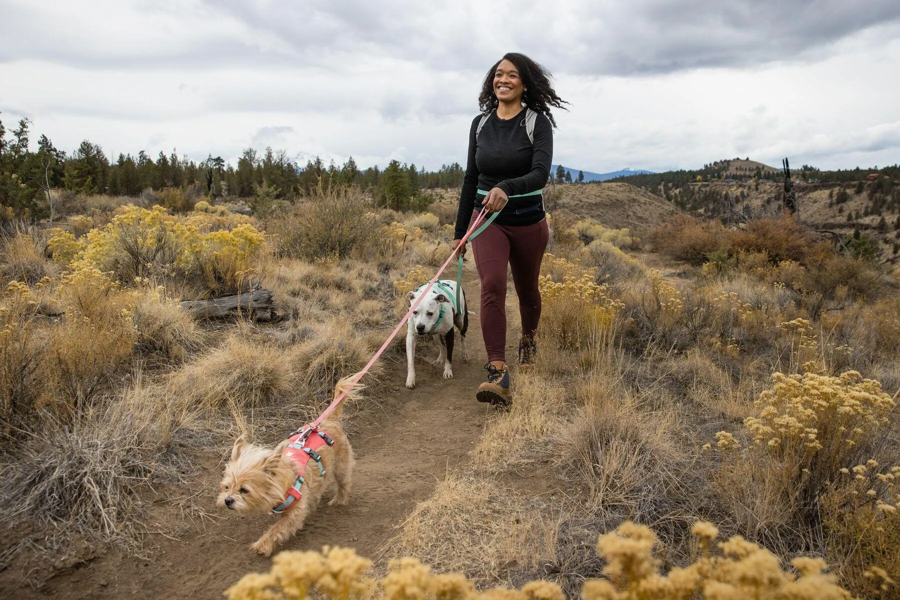 Ruffwear Flagline Harness Sage Green