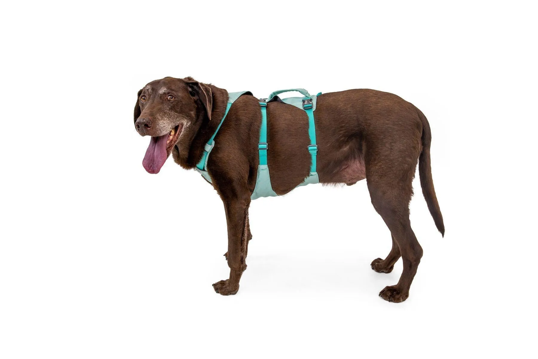 Ruffwear Flagline Harness Sage Green