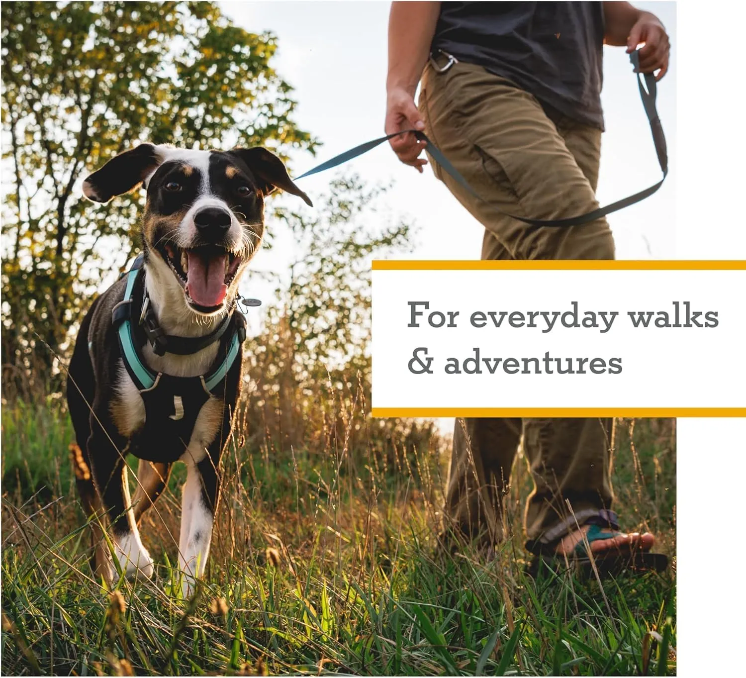 Ruffwear, Hi & Light, Everyday Lightweight Dog Harness, Trail Running, Walking, Hiking, All-Day Wear, Basalt Gray, Small
