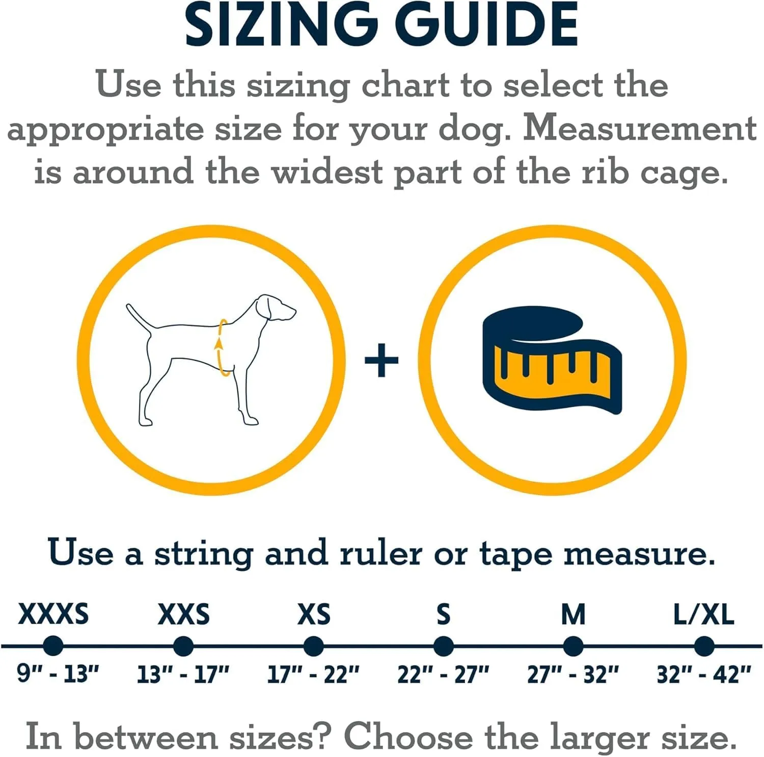 Ruffwear, Hi & Light, Everyday Lightweight Dog Harness, Trail Running, Walking, Hiking, All-Day Wear, Basalt Gray, Small