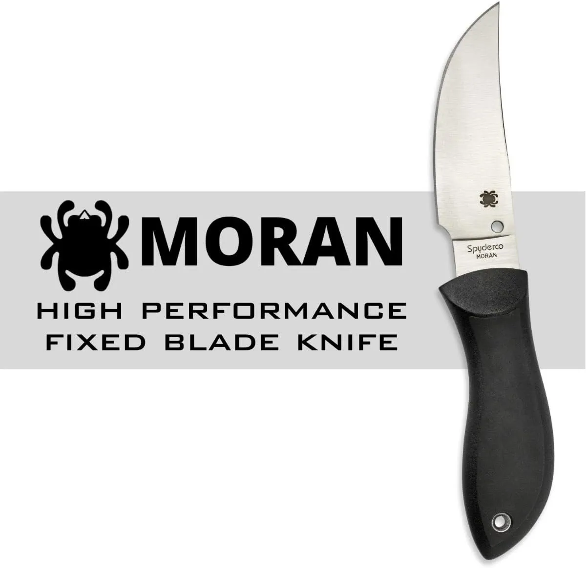 Spyderco 3.92" Plain Fixed Blade Black Handle Pocket Knife (FB01P)