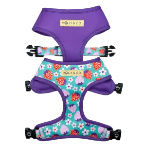 Strawberry - Reversible Dog Harness