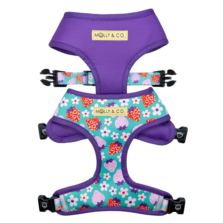 Strawberry - Reversible Dog Harness