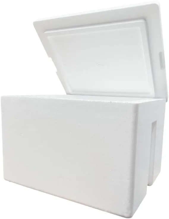 Styrofoam Ice Chest, Insulated Cooler, 27 qt