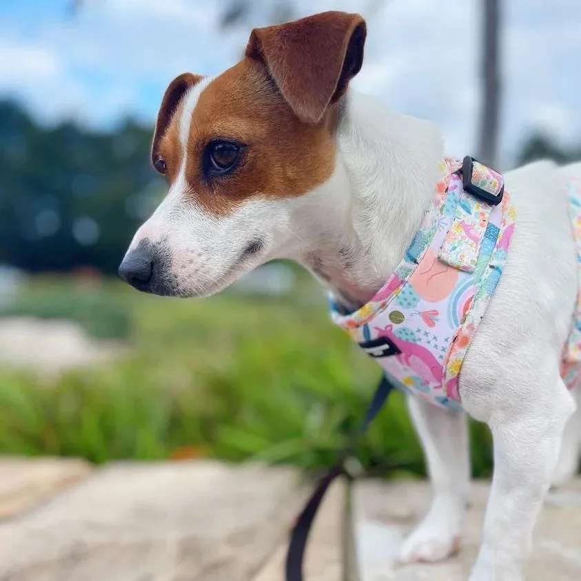 Sweet Australiana adjustable dog harness