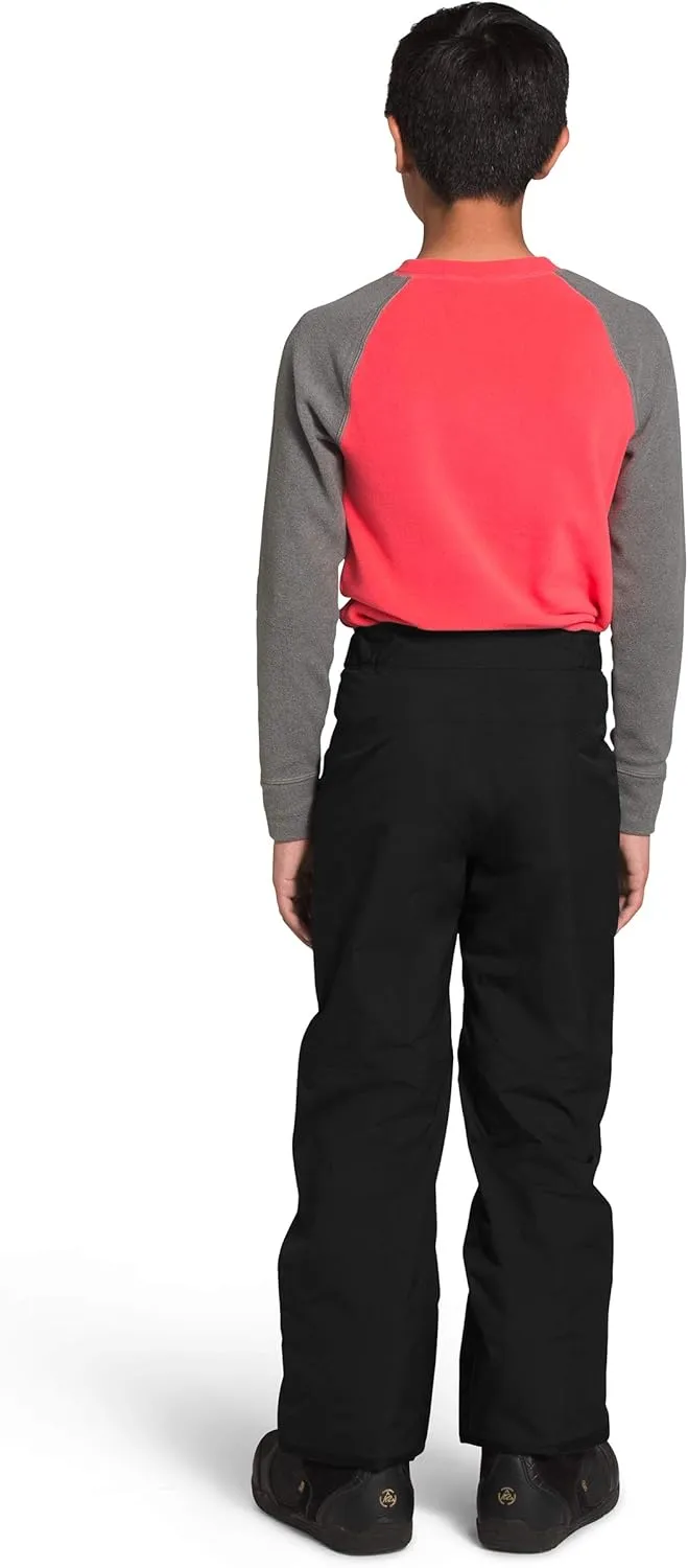 THE NORTH FACE Boys' Freedom Insulated Pant