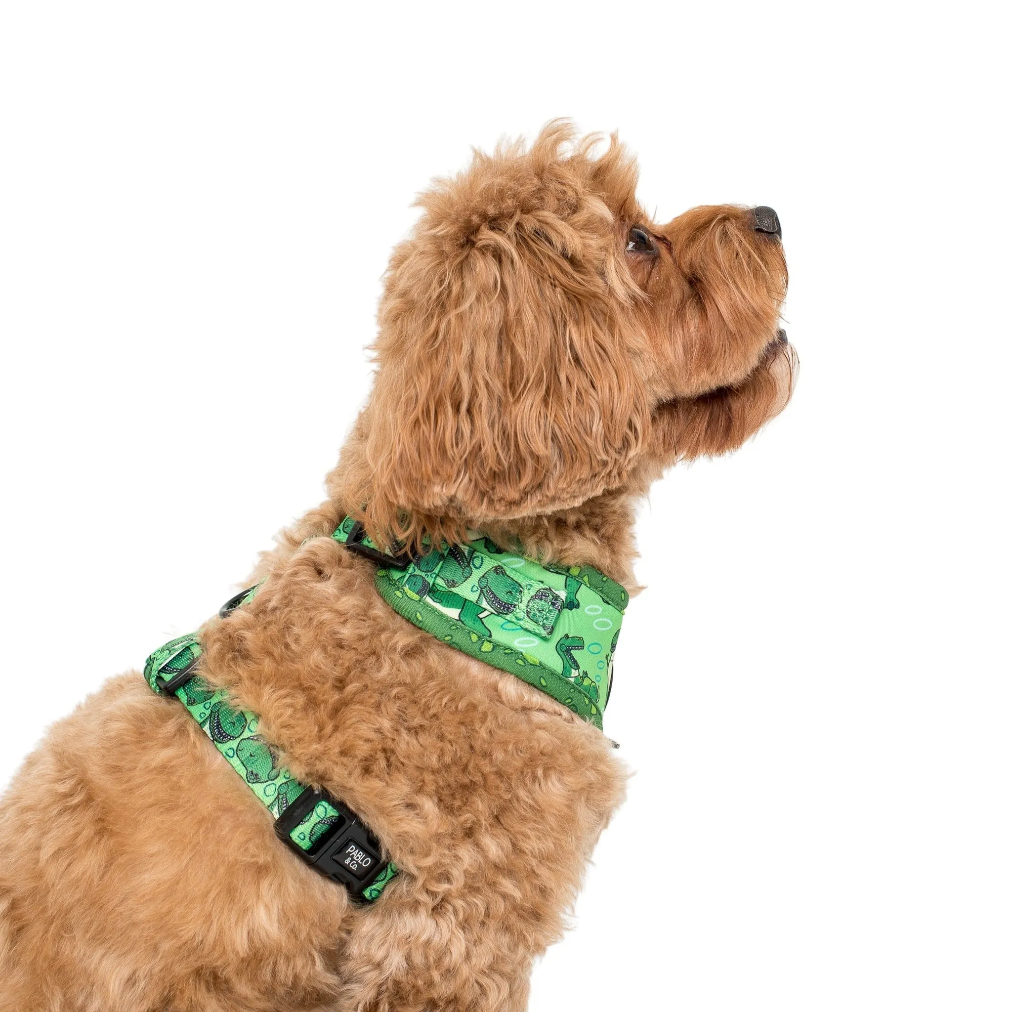 Toy Story - Rex Adjustable Harness