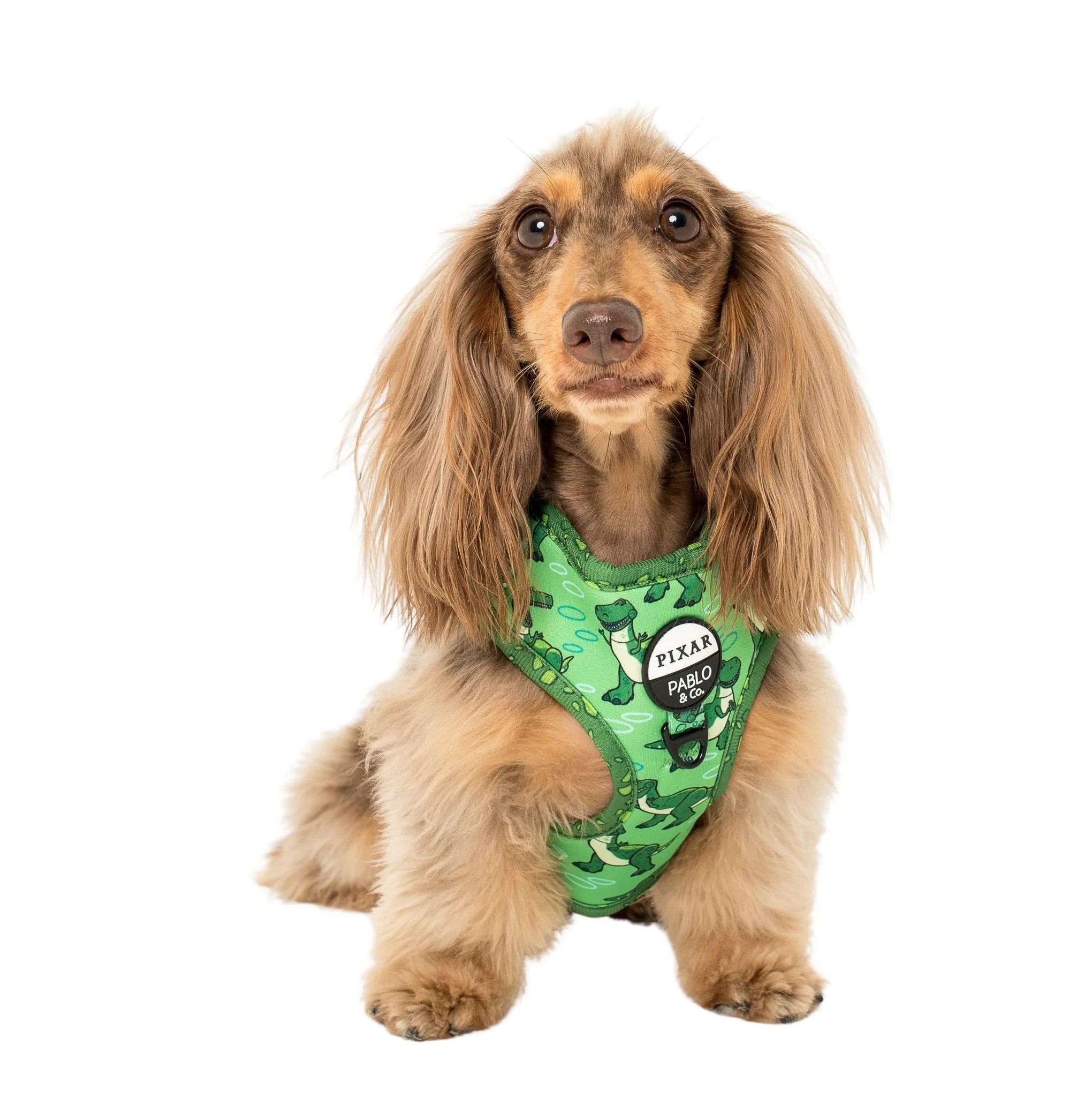 Toy Story - Rex Adjustable Harness