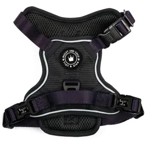 Trail & Glow® Dog Harness - The Jet Black One
