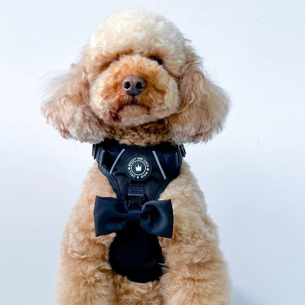 Trail & Glow® Dog Harness - The Jet Black One